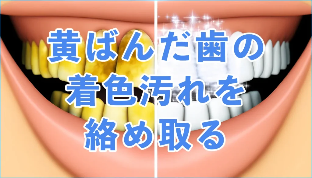 黄ばんだ歯の着色汚れを絡め取る