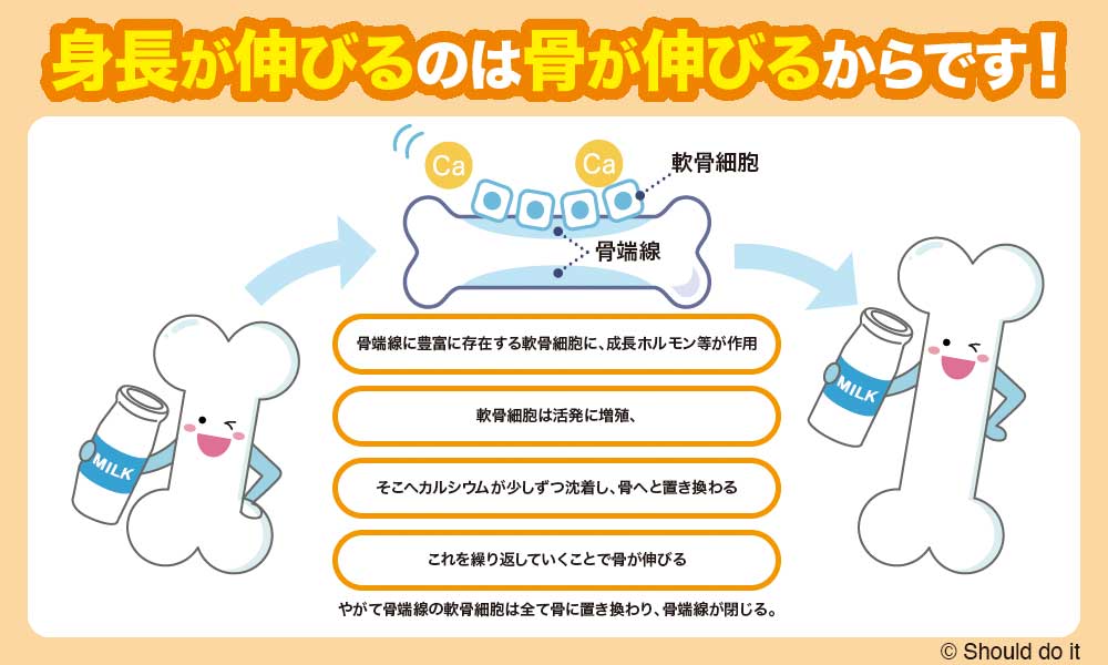 他に身長に影響を与える要因は何ですか?